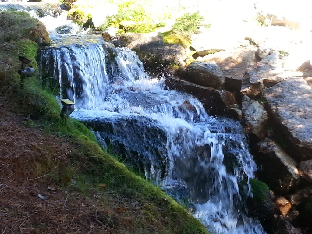 נלסון Creekside B&B מראה חיצוני תמונה